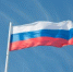 МИД России: западные силовики могли готовить банды для нападения в Мали - ИА Общественная служба новостей