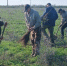 В Астраханской области высадили лес - Bloknot-Astrakhan.Ru
