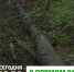 2026-04-26_23-47-12 - Министерство природных ресурсов и экологии