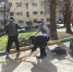 Около 13 тысяч туляков приняли участие во Всероссийском субботнике - Молодой коммунар