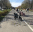 В Твери на сбившего ребёнка доставщика на электровелосипеде завели дело - Комсомольская Правда
