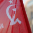 В Берлине запретят георгиевские ленточки и советские флаги 8-9 мая - РТВ-Подмосковье