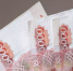 В Госдуме назвали категорию имеющих право на новую налоговую выплату граждан - Nk-Tv