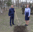 В Уссурийске высадили десятки деревьев в рамках патриотической акции «Сад памяти» - Администрация Уссурийского городского округа