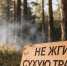 Ни одного лесного пожара не зарегистрировано в Хабаровском крае на утро понедельника - Верхнебуреинский район