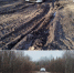 img - ЛДПР