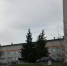 Малооблачная погода ожидается в Бугульме 27 апреля - Бугульминская газета