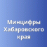 Выездной личный прием граждан проведет министр цифрового развития и связи края в Бикинском округе - Министерство ИТ и связи