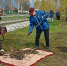Жители трех районов Брянщины вышли на субботник - БрянскToday.Ru