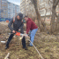 На Сибирской, 33 – чисто. Депутаты провели субботник и решили вопрос с аварийными деревьями - Справедливая Россия