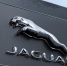 Компания Jaguar Land Rover зарегистрировала в России товарный знак - M24.Ru