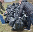 В Рязани больше 800 человек участвовали во Всероссийском субботнике - RyazPressa.Ru