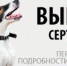 Ваше радиоООО - Amur.Life