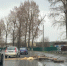 Сильный ветер повалил дерево на Димитровградском шоссе утром 27 апреля - Ulyanovsk.Express