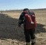 С начала суток на территории края ликвидировано 25 пожаров, 20 из них — горение мусора и травы - Газета Новое время