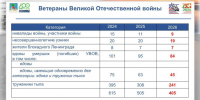 В Челнах проживают более 400 ветеранов Великой Отечественной войны - ИА Татар-информ