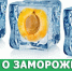5 мифов о замороженных продуктах - Спасский муниципальный округ