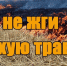 Травяной пал – это настоящее стихийное бедствие и причина пожаров! - Новокузнецкий муниципальный округ