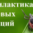 "Горячая линия" по профилактике клещевых инфекций с 27 апреля по 10 мая 2026 года - Город Зима