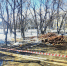 В Комсомольске по нацпроекту началось благоустройство ещё одного общественного пространства - Администрация г.Комсомольска-на-Амуре