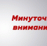 Информация об аукционах на право заключения договоров купли-продажи лесных насаждений в электронной форме.. - Свечинский муниципальный округ