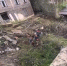 Более 233 тыс. заявлений на выплаты принято от пострадавших при ЧС в Дагестане - РИА Дагестан