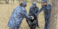 Сотрудники ГУФСИН России по Челябинской области приняли участие во всероссийском субботнике «Мы за чистоту» - УФСИН по Челябинской области