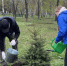 В Самаре в Парке Победы высадили ели и каштаны и развернули символ Славы - ГТРК Самара