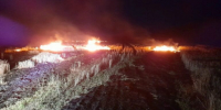 В Красноярском районе Самарской области потушили сухую траву - SamaraGIS.Ru