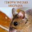 Вирус из нор: скрытая опасность, подстерегающая дачников - Знамя Октября