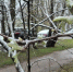 Калуга-поиск - Kaluga-Poisk.Ru