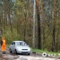 Коммунальщики убрали 9 деревьев, упавших в Белгороде из‑за сильного ветра - БелПресса