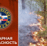 пожар в лесу. - Город Шарыпово