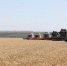 Никакая глыба золота не заменит крошку хлеба - Big-Rostov.Ru