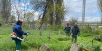 Санитарная уборка продолжается в Лабинске - Администрация г.п. Лабинска