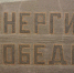 Гигантский геоглиф «Энергия Победы» из живых сосен создали энергетики и жители Кулунды. - Администрация Заринского района