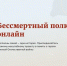 Старт приёма заявок: «Бессмертный полк онлайн» пройдёт 9 мая 2026 года - Газета Слово