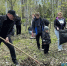 Головко субботник в парке ВГС - Волжская правда
