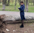 Трагедия в Самаре: дерево рухнуло на двух школьниц, одна погибла - ТРК Татарстан-Новый век