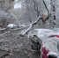 2026-04-27_12-29-36 - ЗА Новомосковск