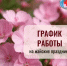 График работы стоматологических поликлиник Уфы и Стерлитамака в период майских выходных - Министерство здравоохранения РБ
