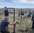 В пригороде Барнаула продолжаются посадки в рамках акции «Сад Памяти» - Администрация г. Барнаул