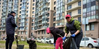 В Кудрово собрали больше 100 мешков мусора - Заневское городское поселение