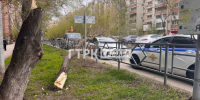 Ребенок погиб под упавшим деревом в Самаре 27 апреля - ГТРК Самара