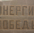Гигантский геоглиф «Энергия Победы» из живых сосен создали энергетики и жители Кулунды. - Поспелихинский район