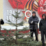 750 деревьев и кустарников высадили в Ульяновске с начала апреля - Ulyanovsk.Express