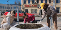 Жители Волоколамска присоединились к Всероссийскому субботнику - РТВ-Подмосковье