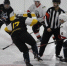 29 апреля — большой хоккей: елабужане сразятся с нижнекамским «Нефтехимиком» - Газета Новая Кама