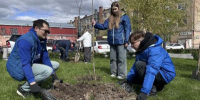 Тысячи волгоградцев помогают преображать город - Городская Дума