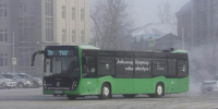 Правительство Иркутской области до 1 мая ликвидирует задолженность за перевозки в 2025 году перед транспортными компаниями - Сибирские новости